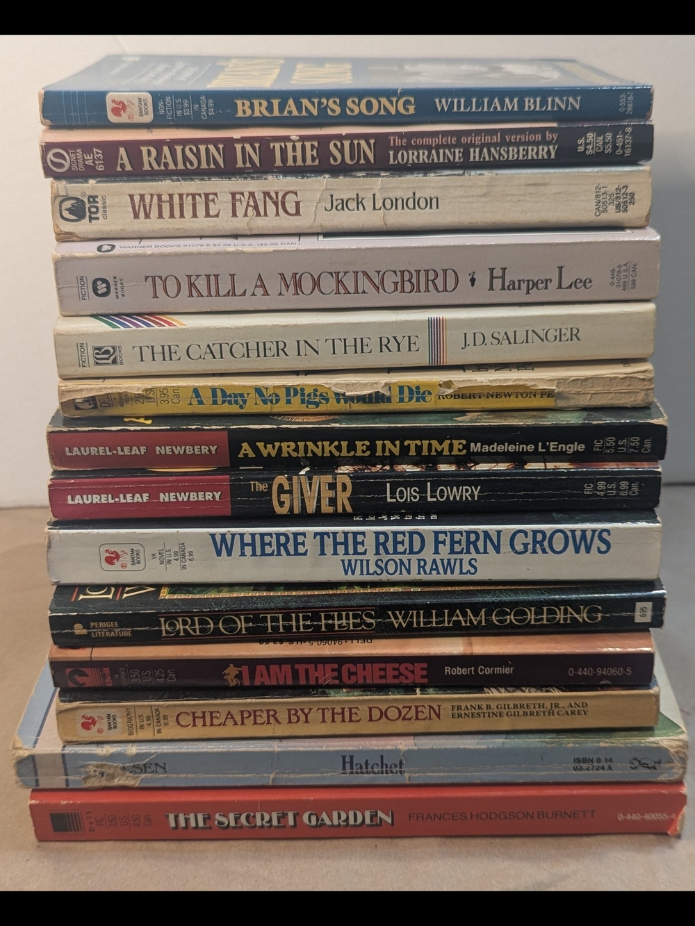 Vintage Classic YA & Middle Grade Book Lot - 14 Books Summer Reading List